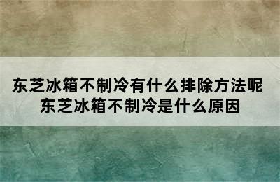 东芝冰箱不制冷有什么排除方法呢 东芝冰箱不制冷是什么原因